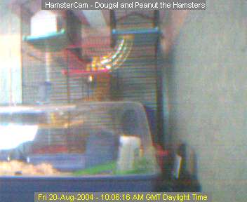 webcam image