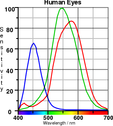 Response spectrum of the human eye. Copyright (c)2020 Paul Alan Grosse