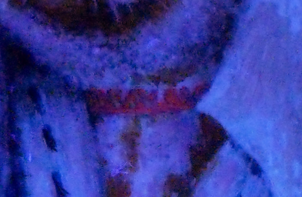 This image is the same area as the photograph on the left but it is illuminated by ultraviolet light (UV). There is enough energy in the uv to make some of the molecules in the paint fluoresce. These are in the zinc that is added by the paint supplier to the white pigments used and also the Rose Madder which fluoresces orange in the choker. The rusty orange that you can see in the fur is the fluorescence of the zinc compounds in the underlayers being filtered down to orange by the transparent gold ochre that is used to make the ginger fur gingery. Copyright (c)2016 Paul Alan Grosse This image is the same area as the photograph on the left but it is illuminated by ultraviolet light (UV). There is enough energy in the uv to make some of the molecules in the paint fluoresce. These are in the zinc that is added by the paint supplier to the white pigments used and also the Rose Madder which fluoresces orange in the choker. The rusty orange that you can see in the fur is the fluorescence of the zinc compounds in the underlayers being filtered down to orange by the transparent gold ochre that is used to make the ginger fur gingery. Copyright (c)2016 Paul Alan Grosse
