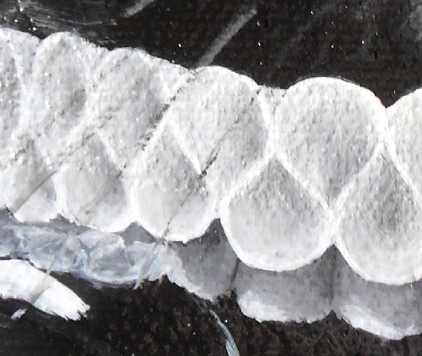 Close-up of the ruff around his neck, showing detail of the inside of each loop and also: the reflection of the underside of the ruff on the right, where it is reflected in the chest plate of the armour; and, the reflection of the front of the ruff where it is reflected at a different angle by the armour that protects the right arm. Copyright (c)2016 Paul Alan Grosse Close-up of the ruff around his neck, showing detail of the inside of each loop and also: the reflection of the underside of the ruff on the right, where it is reflected in the chest plate of the armour; and, the reflection of the front of the ruff where it is reflected at a different angle by the armour that protects the right arm. Copyright (c)2016 Paul Alan Grosse
