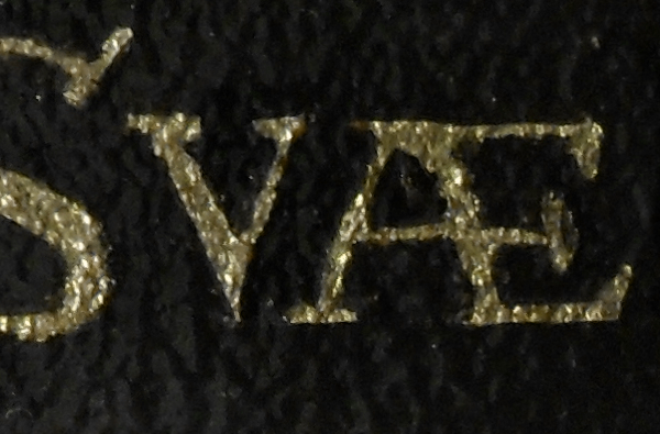 Close-up of the gold leaf of the word 'Suæ' showing how the surface of the canvas undulates, making the job of guilding it quite difficult. Here, the gold has been applied and then the edges neatened by painting over. Copyright (c)2016 Paul Alan Grosse Close-up of the gold leaf of the word 'Suæ' showing how the surface of the canvas undulates, making the job of guilding it quite difficult. Here, the gold has been applied and then the edges neatened by painting over. Copyright (c)2016 Paul Alan Grosse