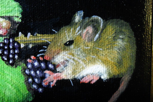 The mouse eating a blackberry - instead of an ermine crawling up her sleeve. Copyright (c)2015 Paul Alan Grosse