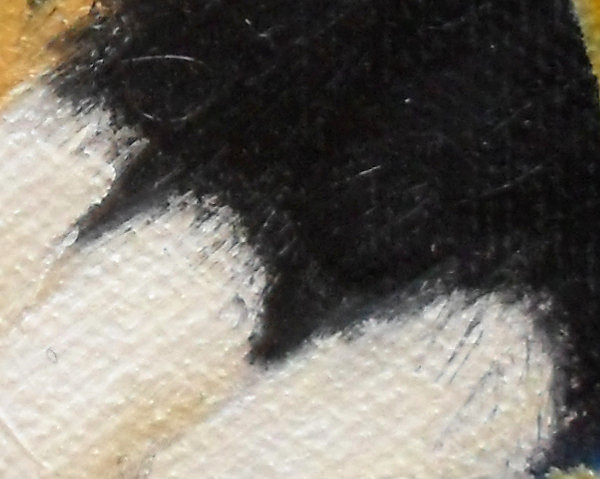 Individually painted hairs on the white 'socks' of the paws. Copyright (c)2015 Paul Alan Grosse Individually painted hairs on the white 'socks' of the paws. Copyright (c)2015 Paul Alan Grosse
