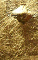 test sample test sample