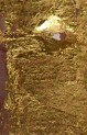 test sample test sample