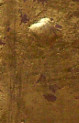 test sample test sample