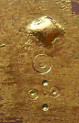 test sample test sample