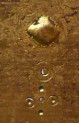test sample test sample