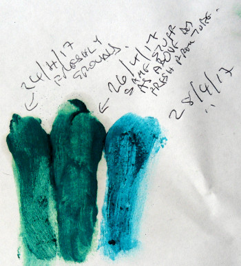 Test smears of verdigris paint. Copyright (c)2019 Paul Alan Grosse