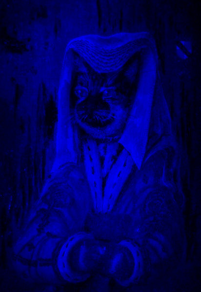 'Bella' - AEtatis Suae vij. Anno domini mmxvj (Age seven, 2016AD). Traditional 15th century Netherlands headdress and blue and gold brocade top with white fir and ermine trim to cuffs and collar. Copyright (c)2016 Paul Alan Grosse 'Bella' - AEtatis Suae vij. Anno domini mmxvj (Age seven, 2016AD). Traditional 15th century Netherlands headdress and blue and gold brocade top with white fir and ermine trim to cuffs and collar. Copyright (c)2016 Paul Alan Grosse