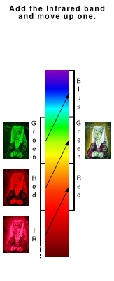 Bella the cat - oil on panel miniature - Spectroscopic explanation. Copyright (c)2016 Paul Alan Grosse Bella the cat - oil on panel miniature - Spectroscopic explanation. Copyright (c)2016 Paul Alan Grosse