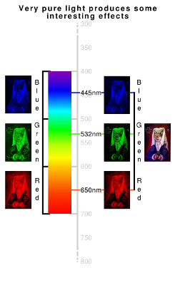 Bella the cat - oil on panel miniature - Spectroscopic explanation. Copyright (c)2016 Paul Alan Grosse Bella the cat - oil on panel miniature - Spectroscopic explanation. Copyright (c)2016 Paul Alan Grosse