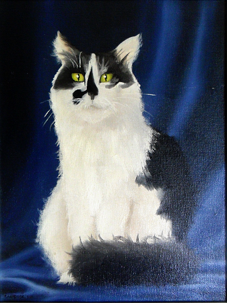 Starey cat. Copyright (c)1988 Paul Alan Grosse