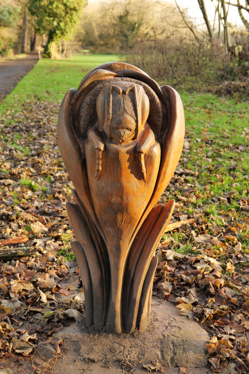 Derby: Markeaton Park carving 20221225 Copyright (c)2023 Paul Alan Grosse. All Rights Reserved.