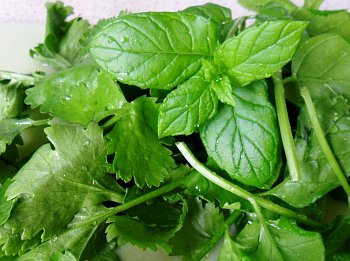 Fresh mint and coriander leaf for the filling.  
