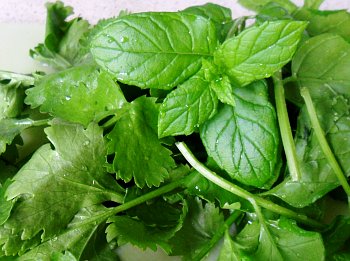 Fresh mint and coriander leaf for the filling.