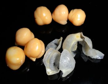 Top - Cooked, tinned chickpeas; left - skinned; and right - the removed skins.