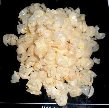 32 grammes of chickpea skins.