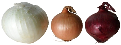 Onions - three types - Brown and red are readily available.