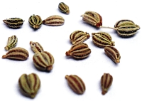 Ajwain seeds. They are only around 2mm long