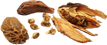 Black Cardamom