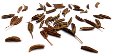 Caraway seeds  