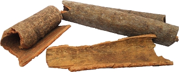 Cinnamon
