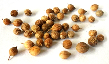 Coriander seeds