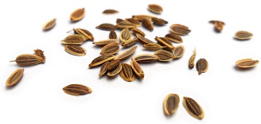 Dill seeds