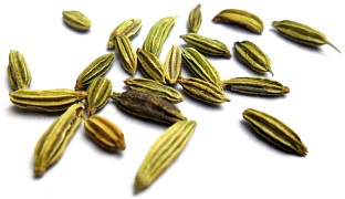Fennel seeds