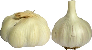 Garlic. Larger, milder bulb on the left.
