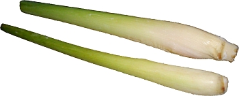 Lemon grass. Don't pick dried out or pale looking ones. Get healthy-looking stems like these.