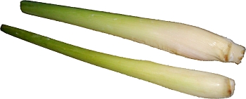 Lemongrass. Choose plump, healthy-looking stems.