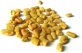 Methi seeds