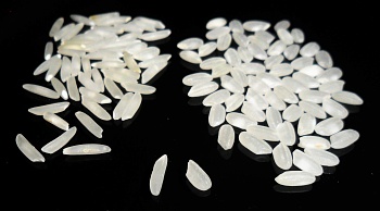 Long- and short-grain rice.