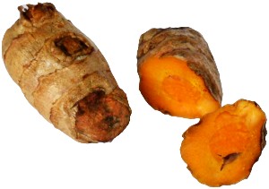 Fresh Indian turmeric root - from Chinese supermarkets and Asian supermarkets.