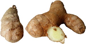 Fresh white turmeric root - look in Asian supermarkets.