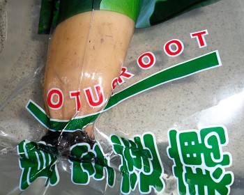 Lotus root, sealed in plastic as bought from the Chinese supermarket