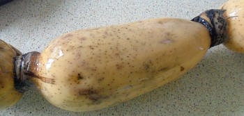 This is lotus root as it comes out of the pond (or bag from the Chinese supermarket)