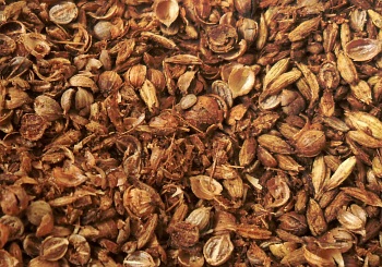 Crushed, roasted coriander.