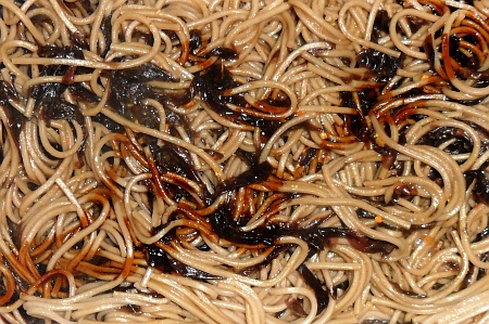 Spicy buckwheat noodles and seaweed.