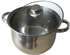 Budget 10 inch, thick- -bottomed pot with lid.