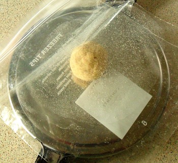 Cover it with the top sheet of plastic.